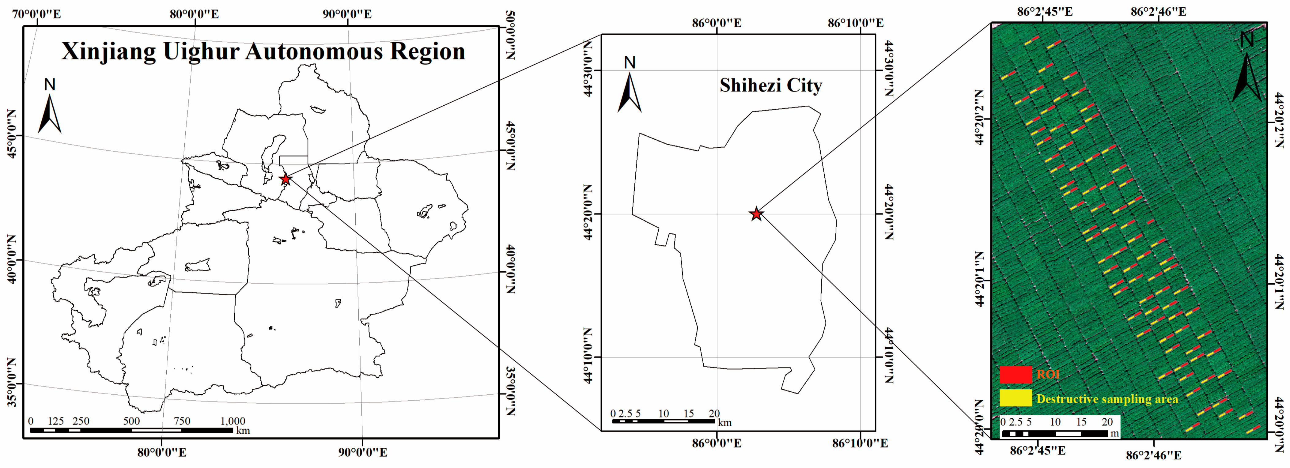 Remotesensing 17 03701 g001