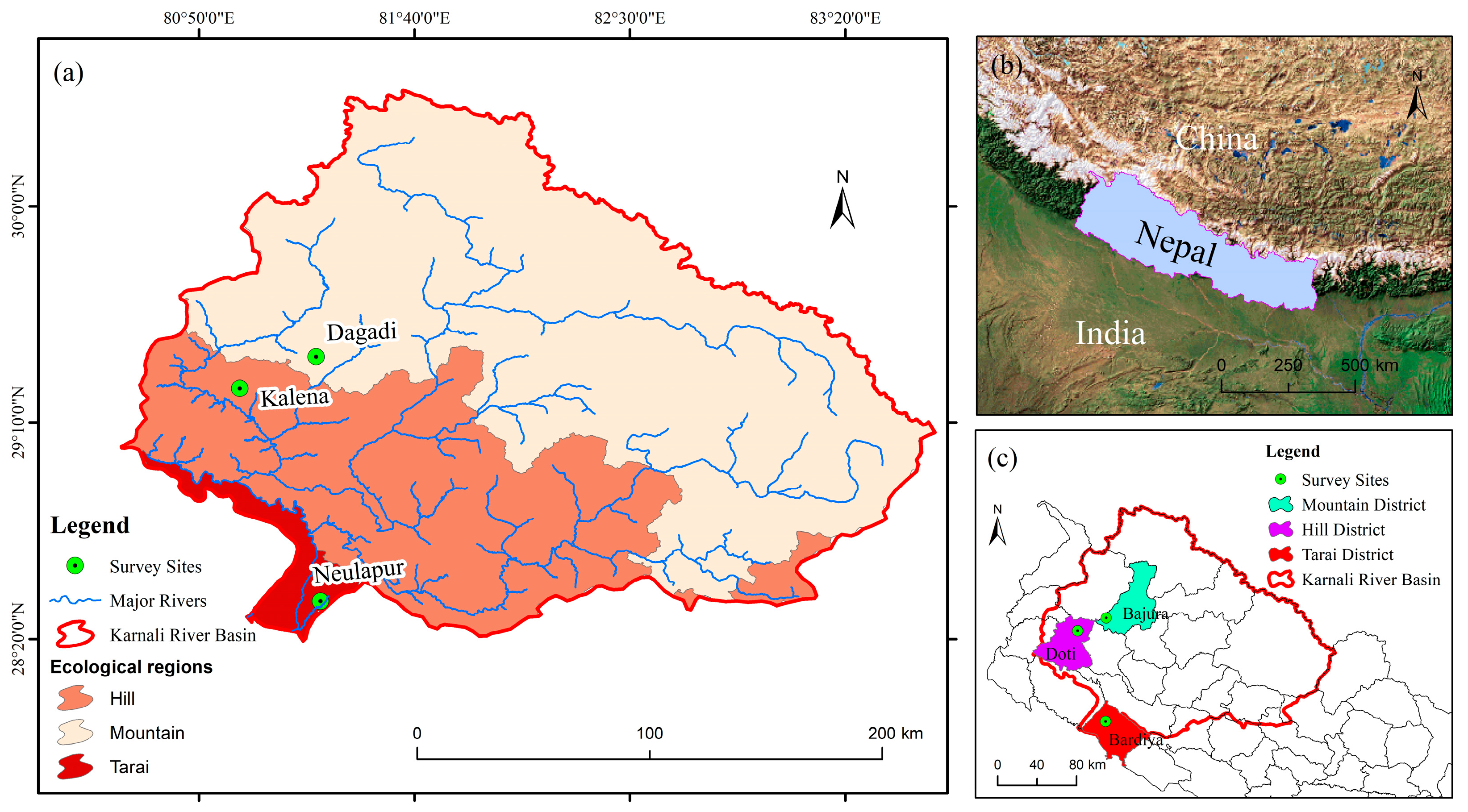 Remotesensing 17 03726 g001