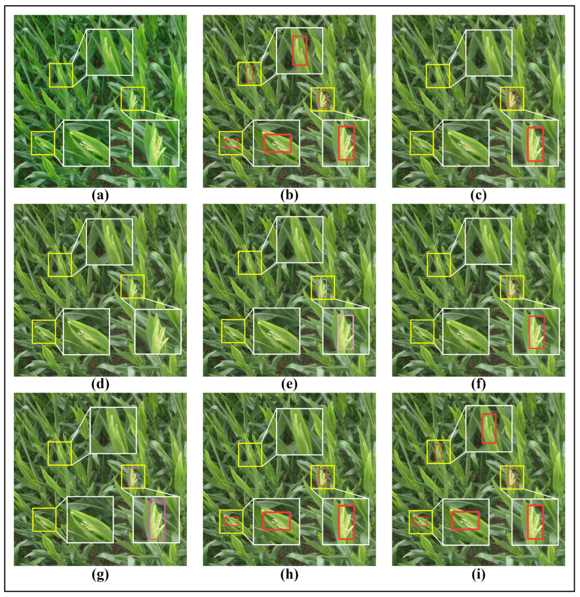 Remotesensing 17 03735 g012