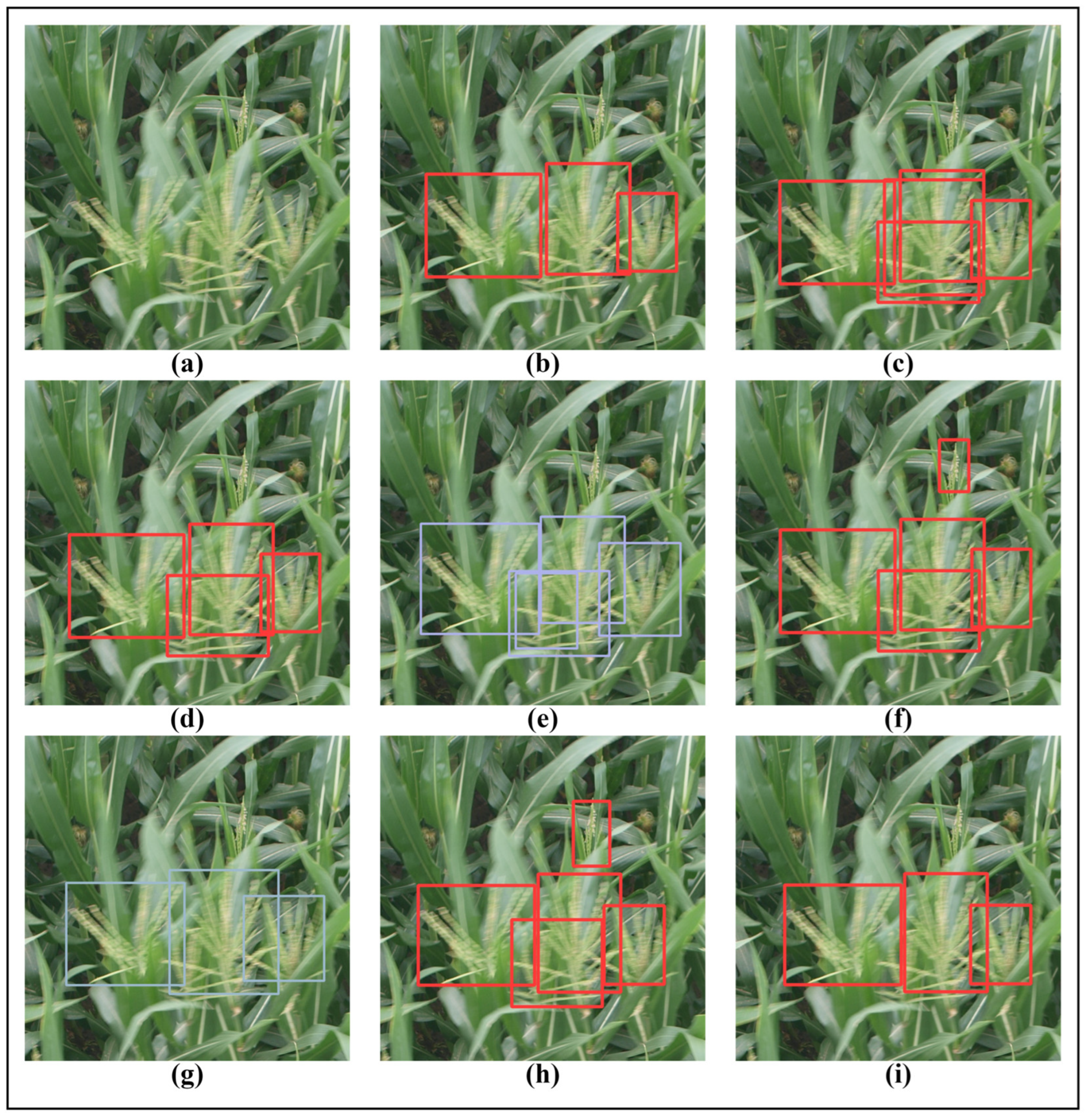 Remotesensing 17 03735 g014