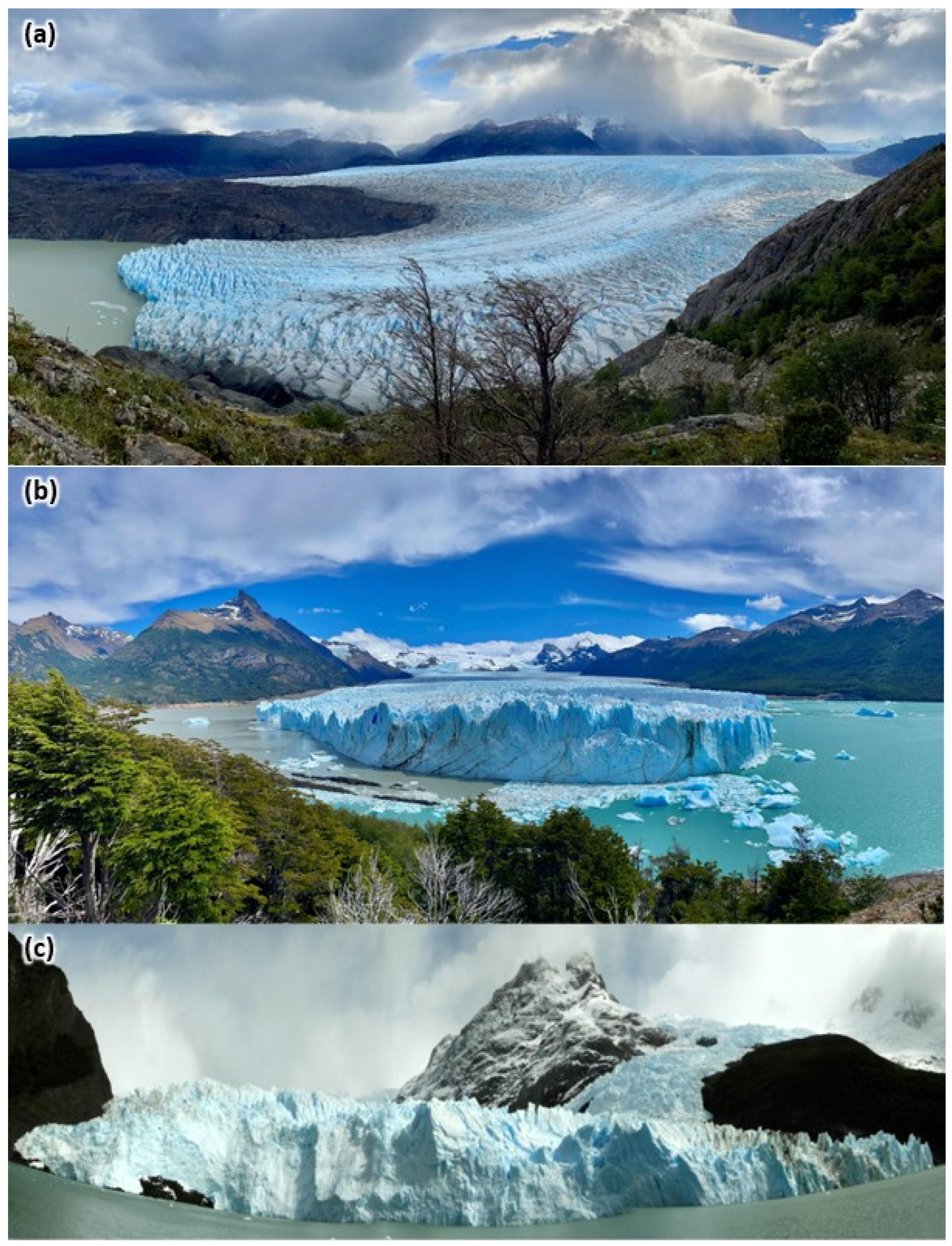 Remotesensing 17 03742 g002