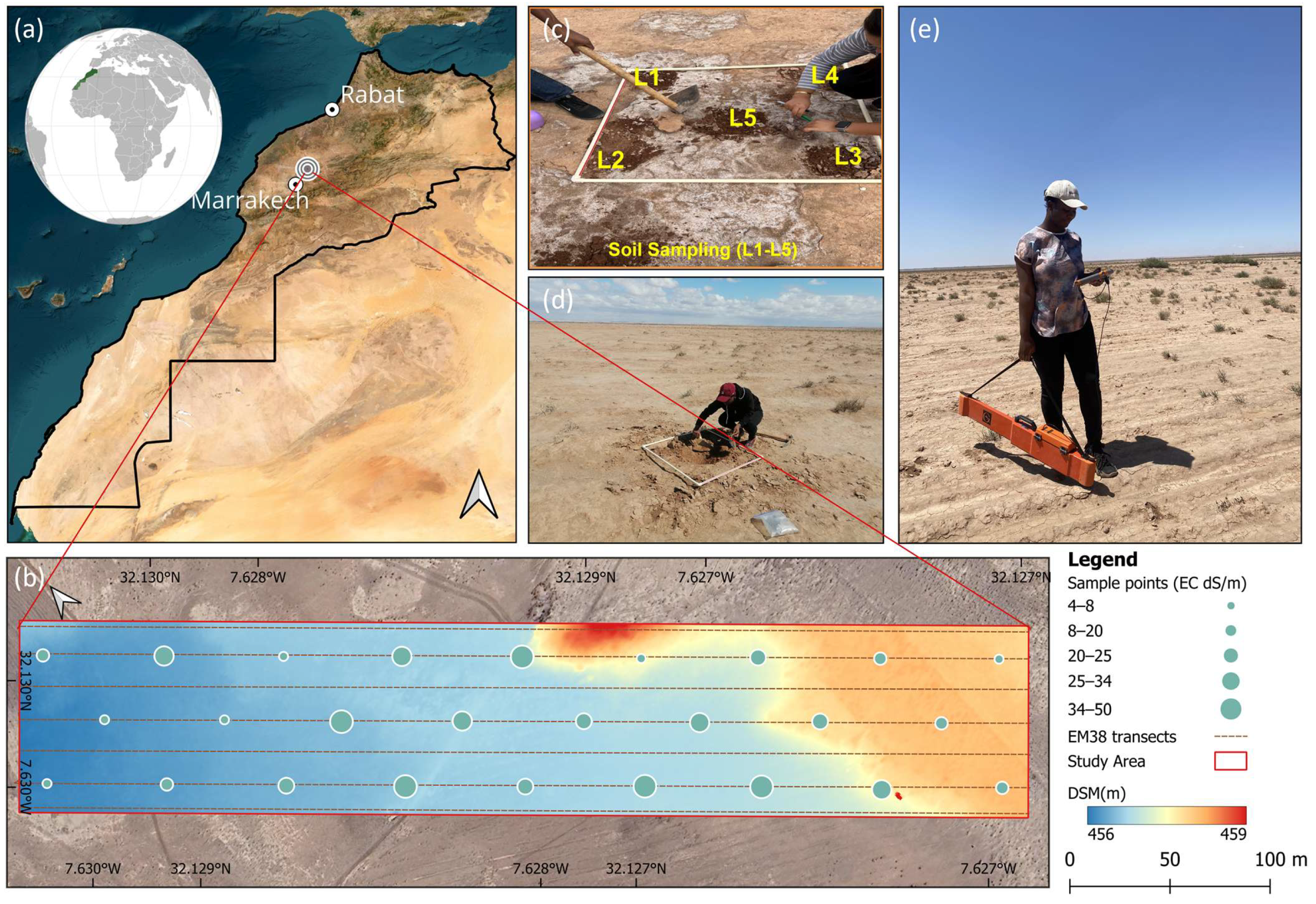 Remotesensing 17 03778 g001