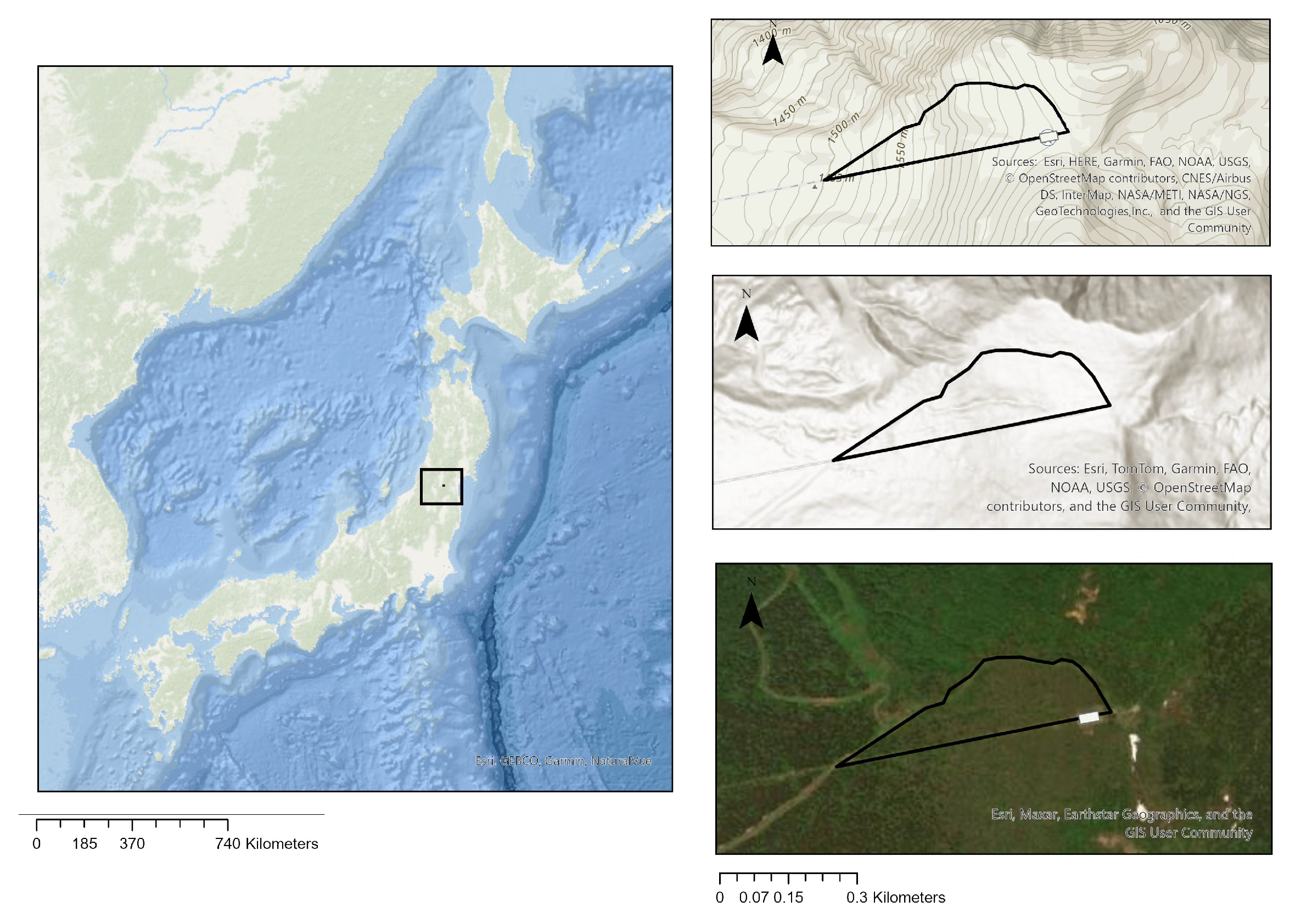 Remotesensing 17 03782 g001