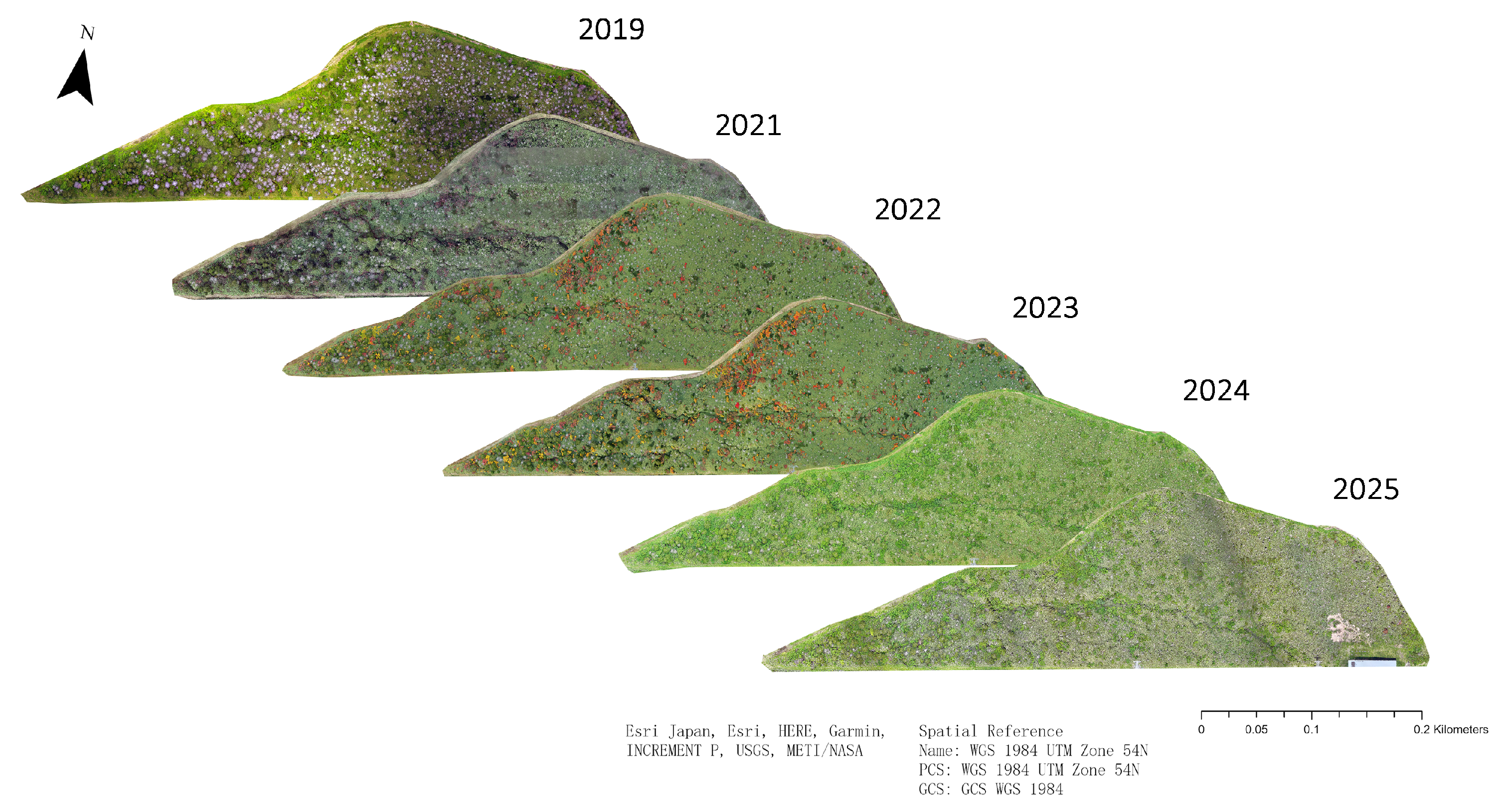 Remotesensing 17 03782 g002