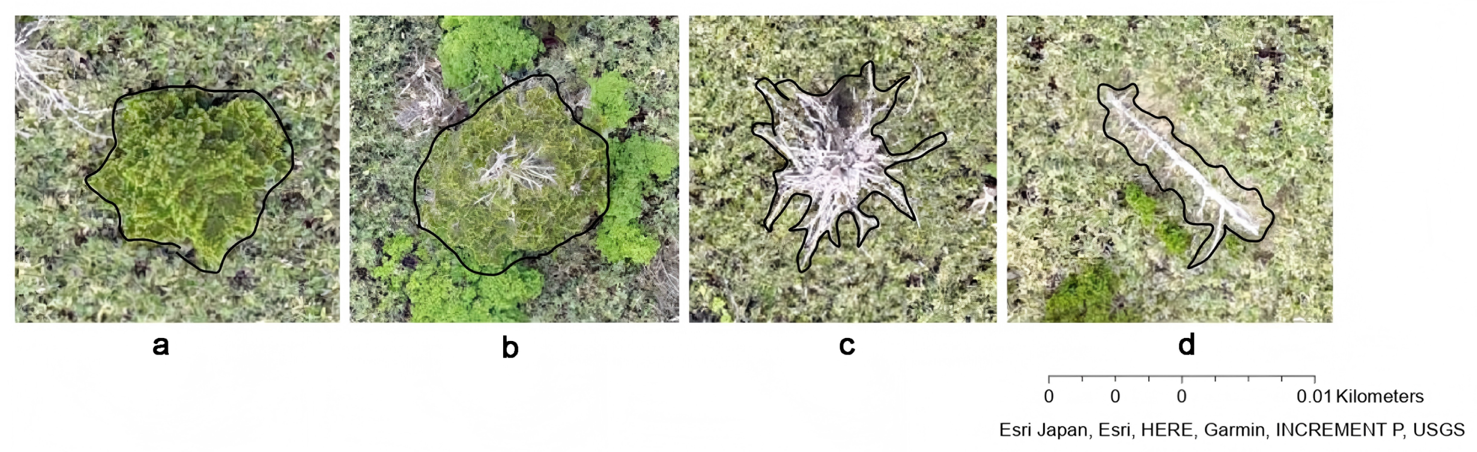 Remotesensing 17 03782 g003