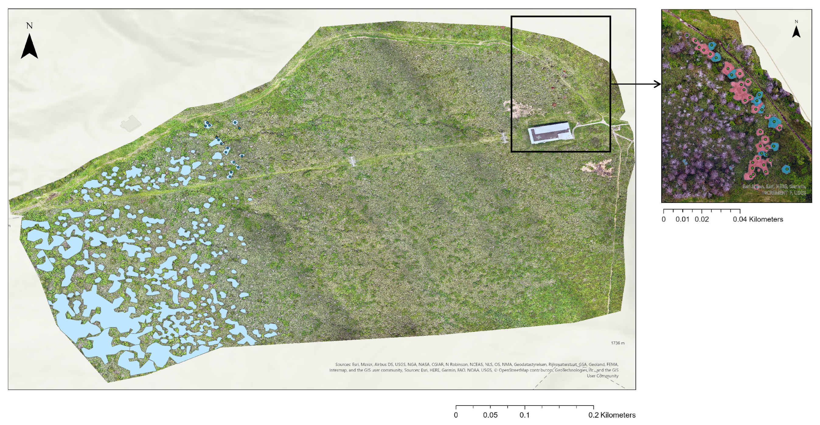 Remotesensing 17 03782 g005