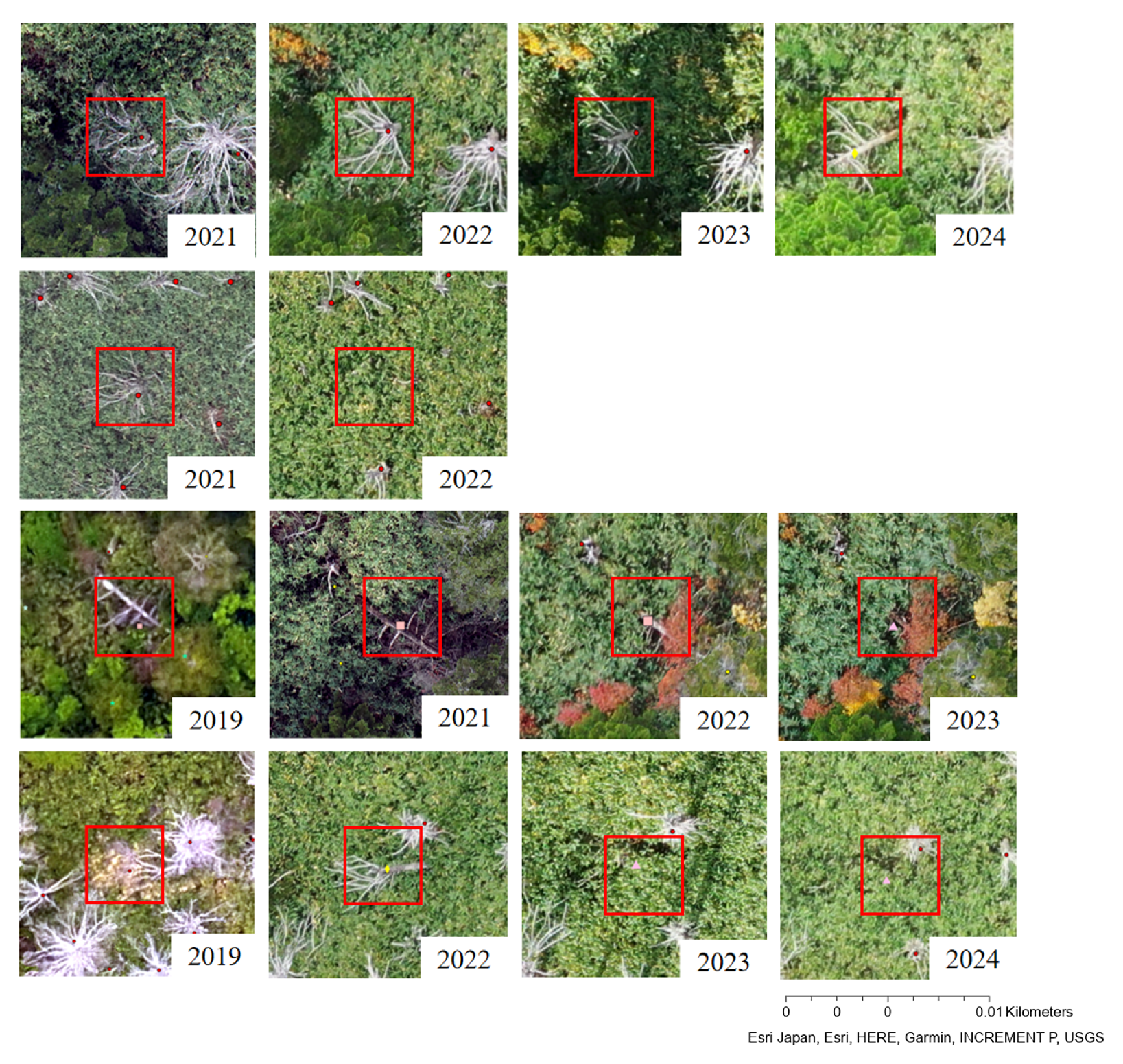 Remotesensing 17 03782 g008