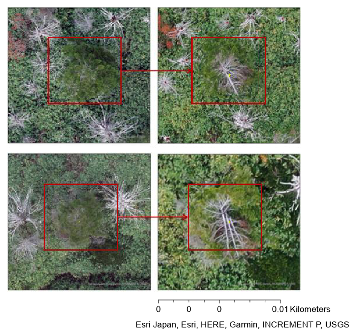 Remotesensing 17 03782 g009