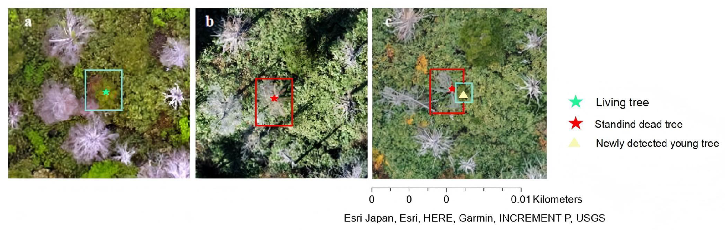 Remotesensing 17 03782 g010