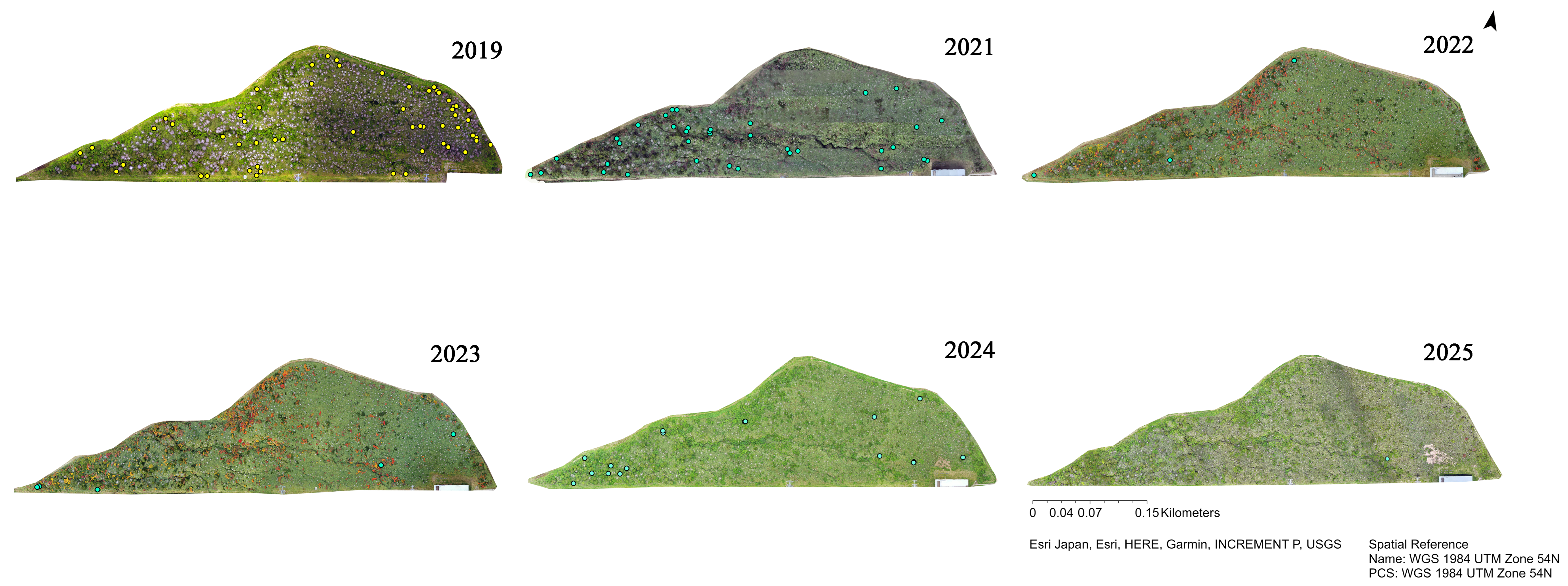 Remotesensing 17 03782 g011