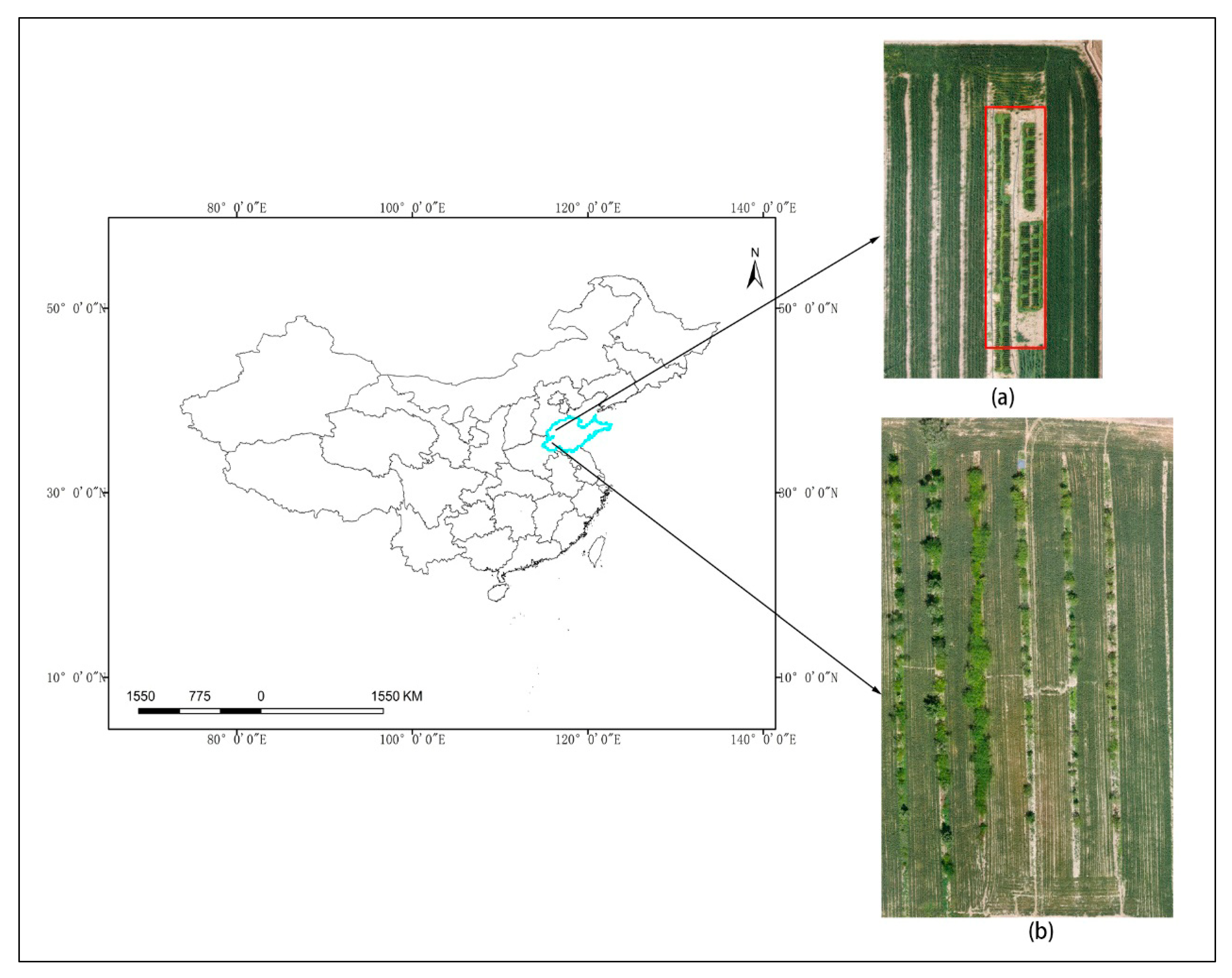 Remotesensing 17 03798 g001