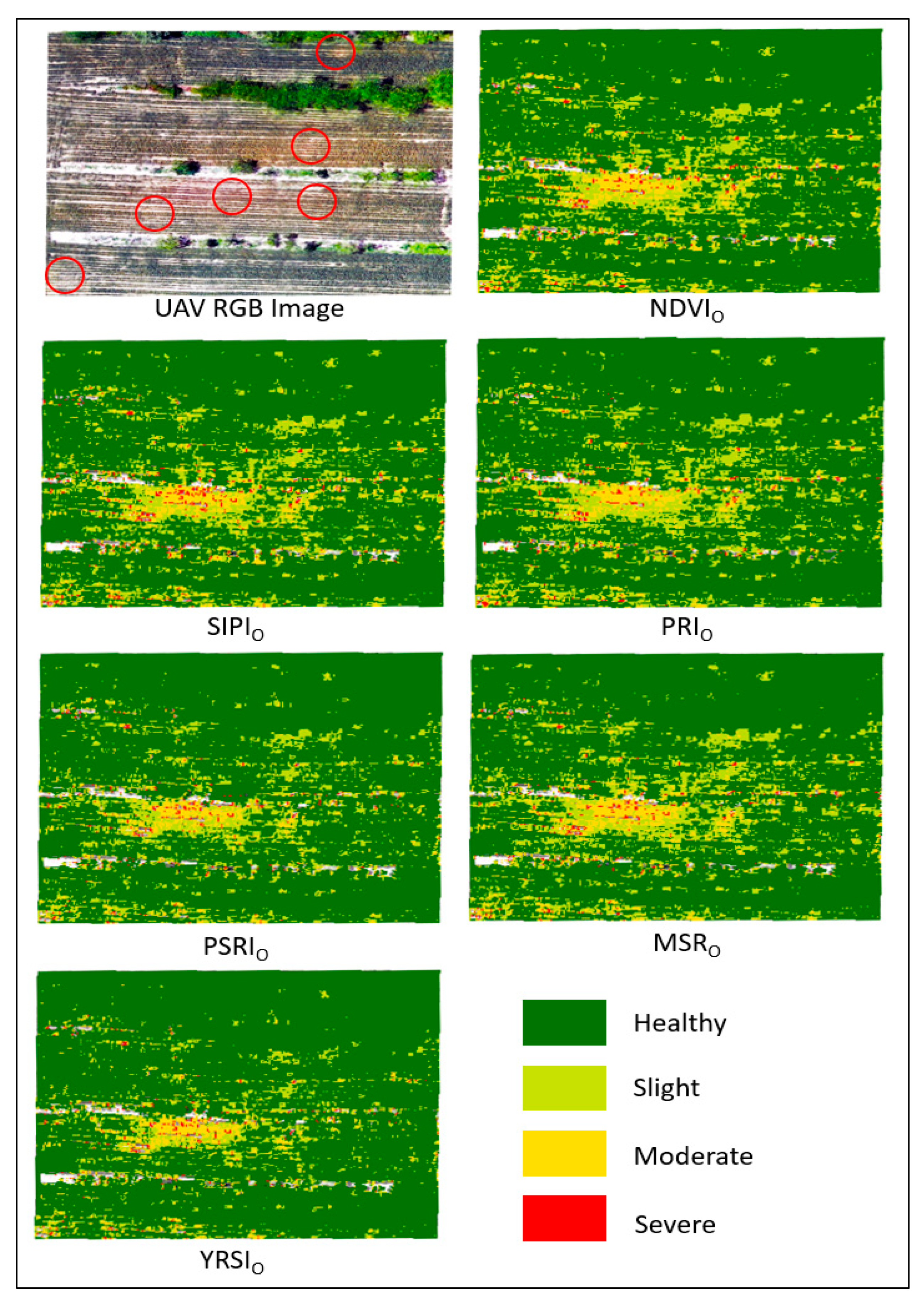 Remotesensing 17 03798 g007