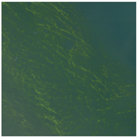 Remotesensing 17 03817 i009