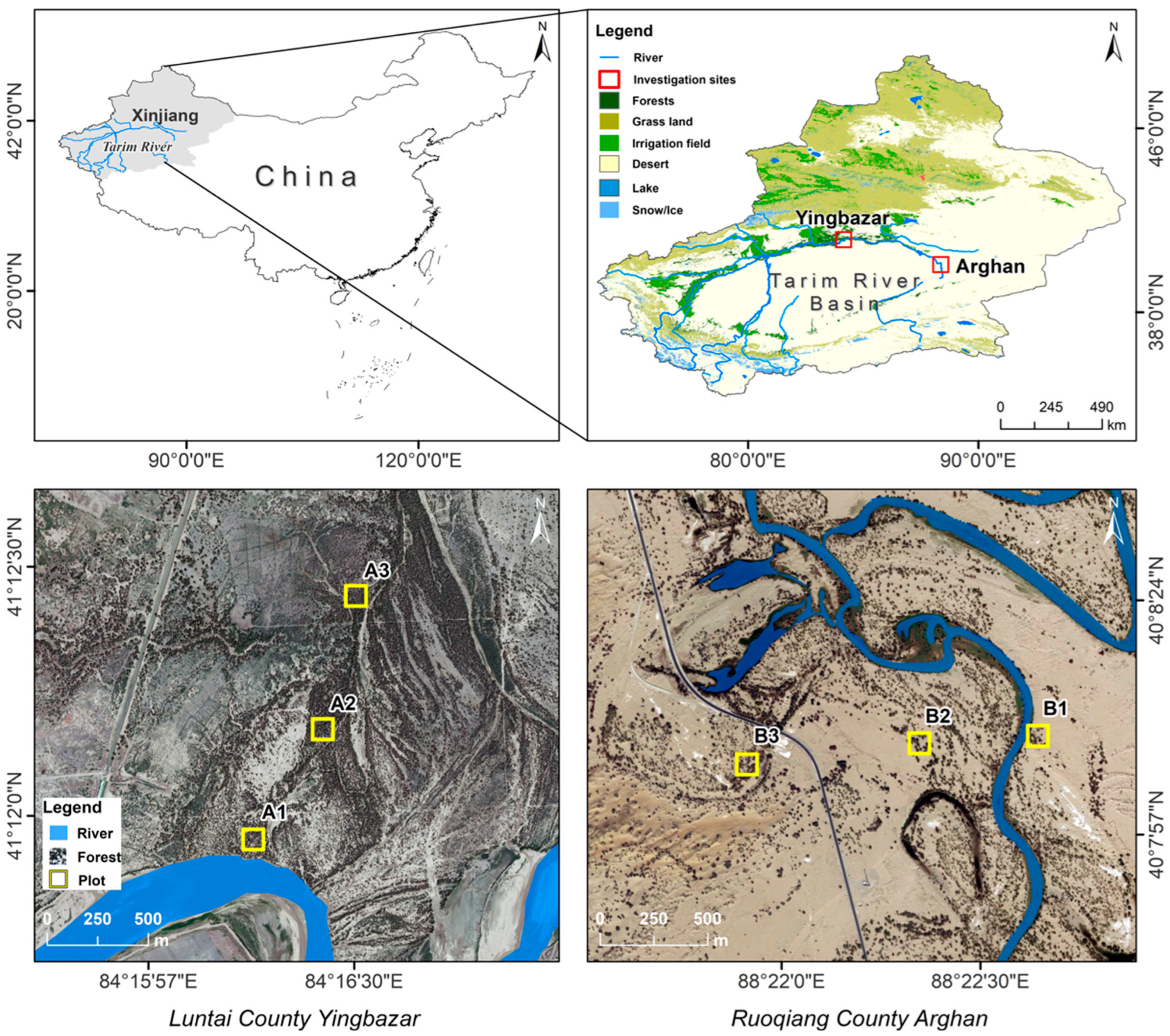 Remotesensing 17 03852 g002