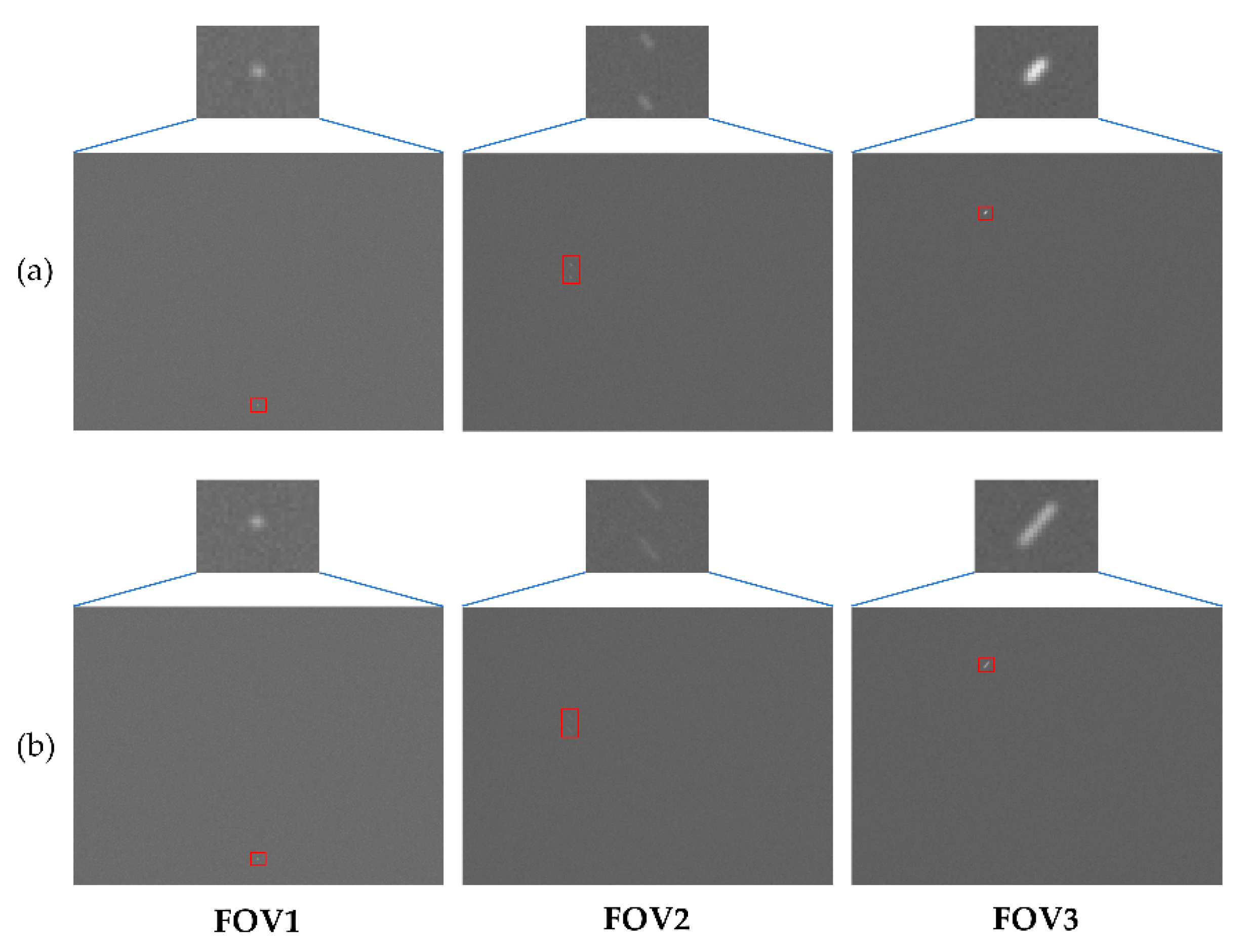 Remotesensing 17 03853 g012