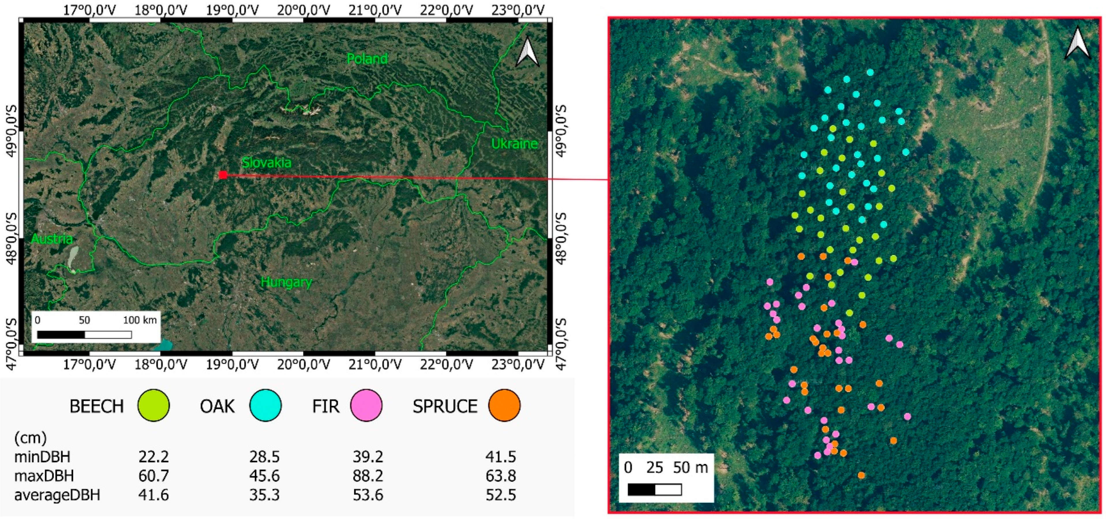 Remotesensing 17 03888 g001