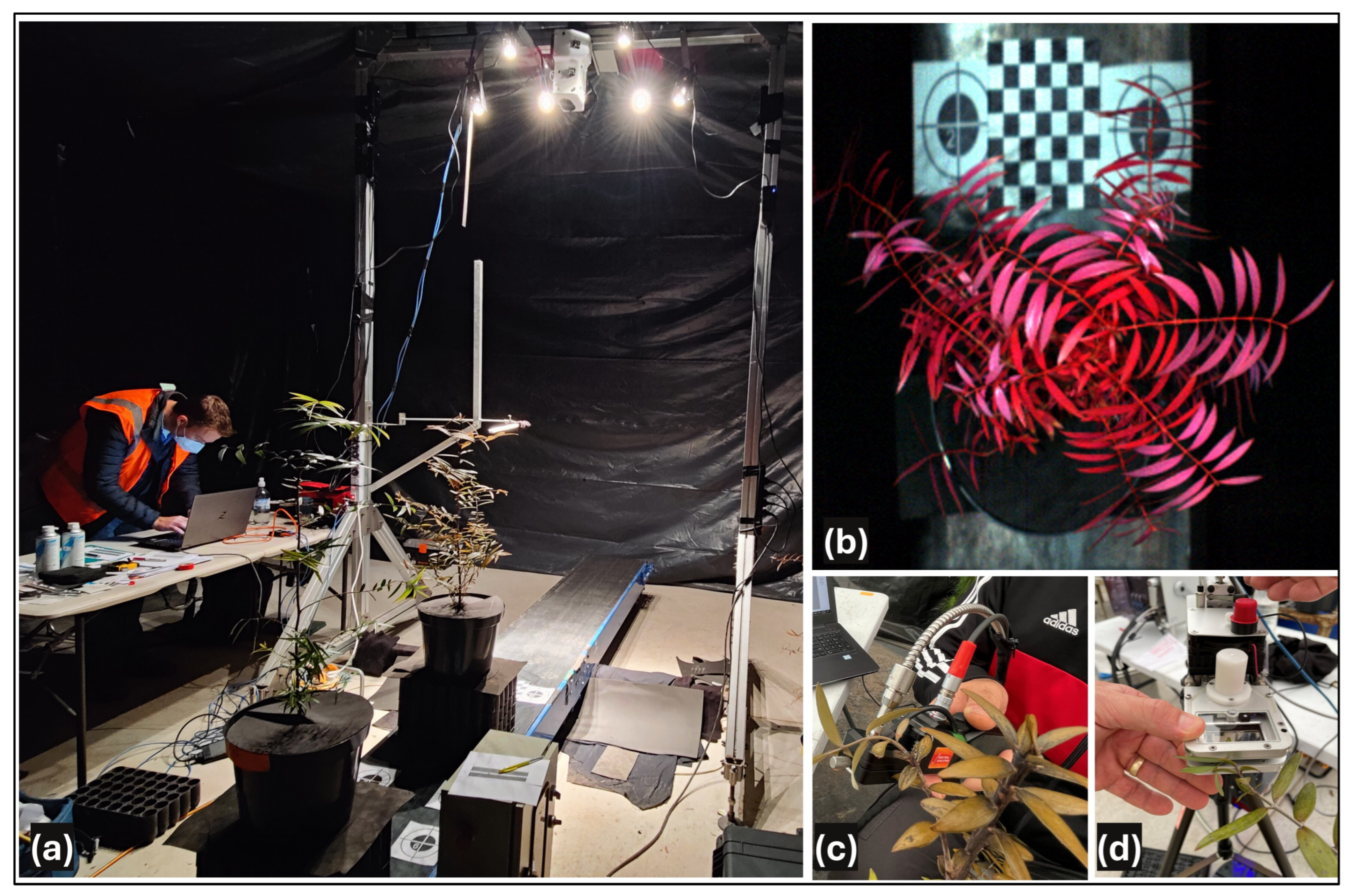 Remotesensing 17 03914 g001 Remotesensing 17 03914 g001