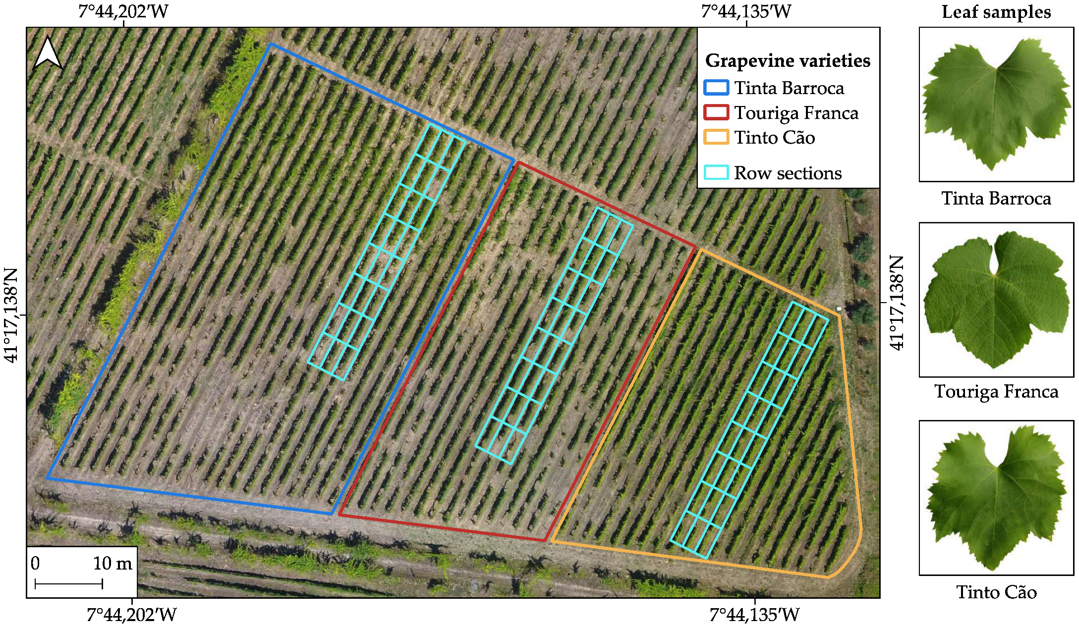 Remotesensing 17 03915 g001 Remotesensing 17 03915 g001