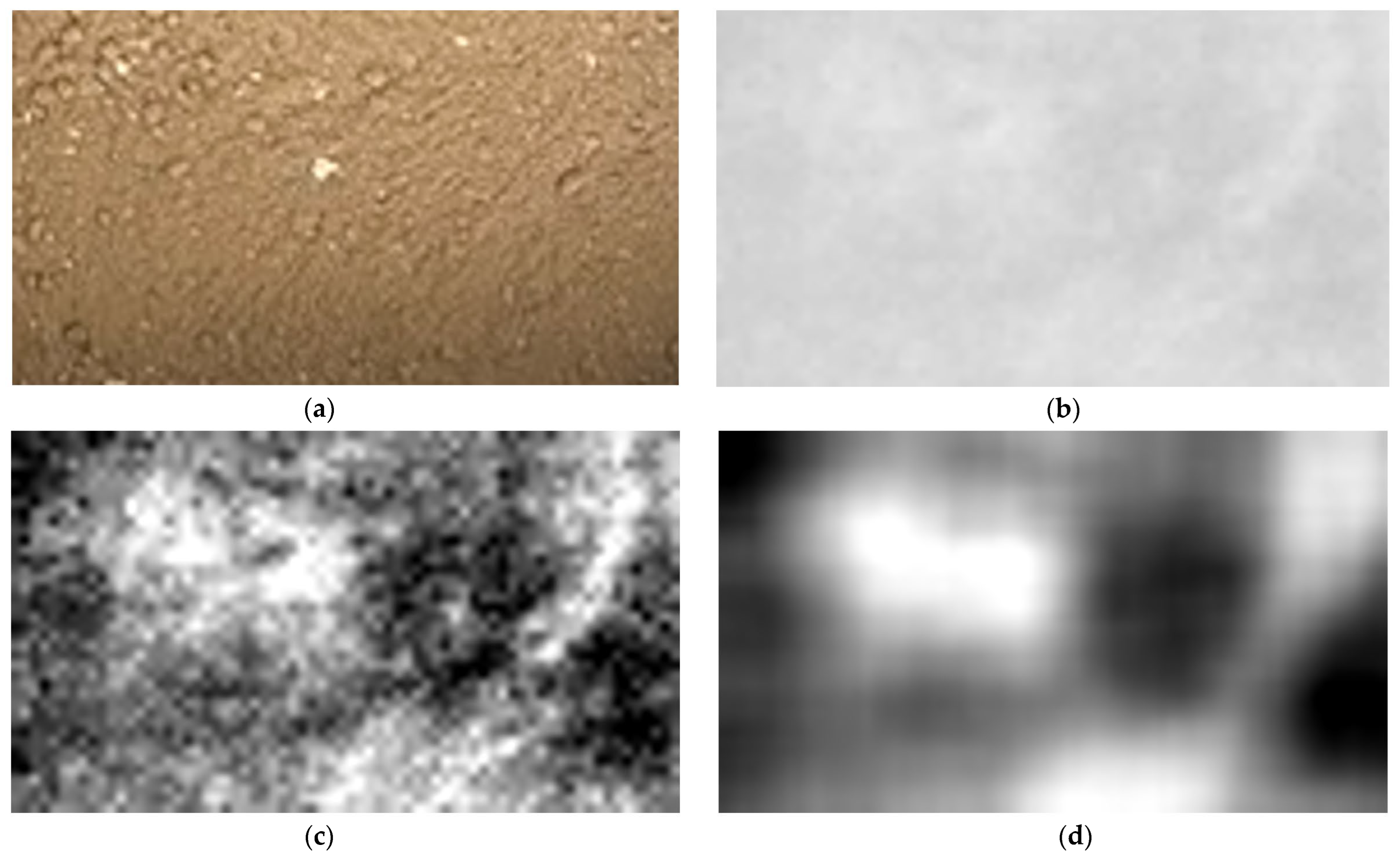 Remotesensing 17 03926 g005 Remotesensing 17 03926 g005