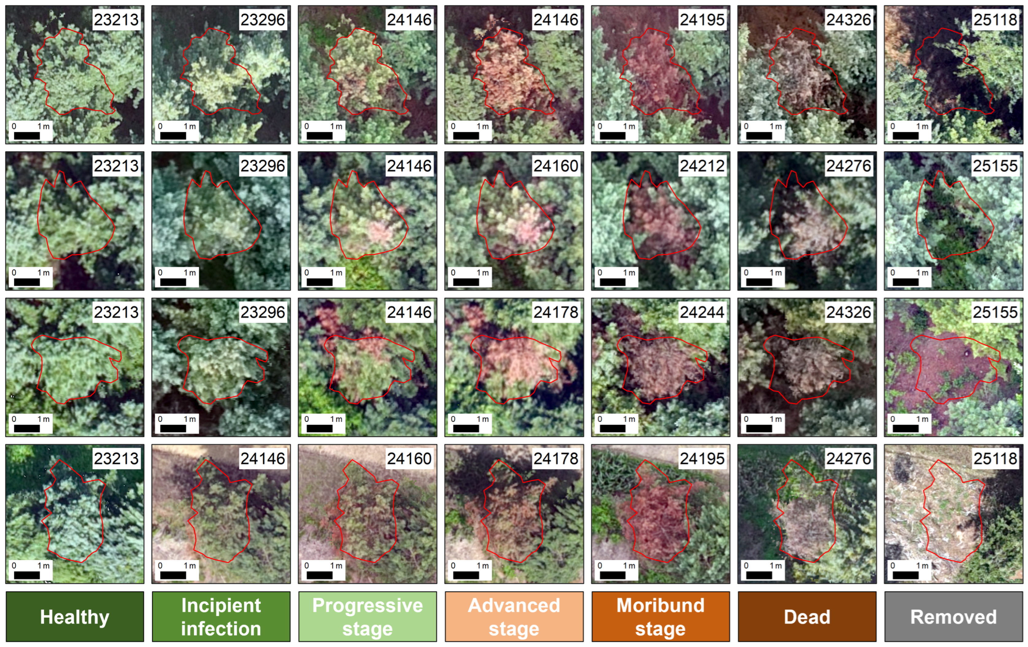 Remotesensing 17 03930 g002