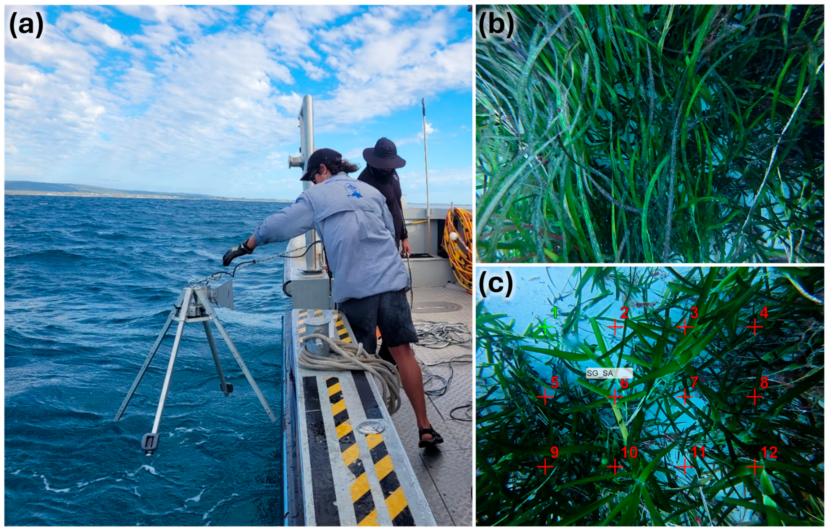 Remotesensing 17 03932 g002