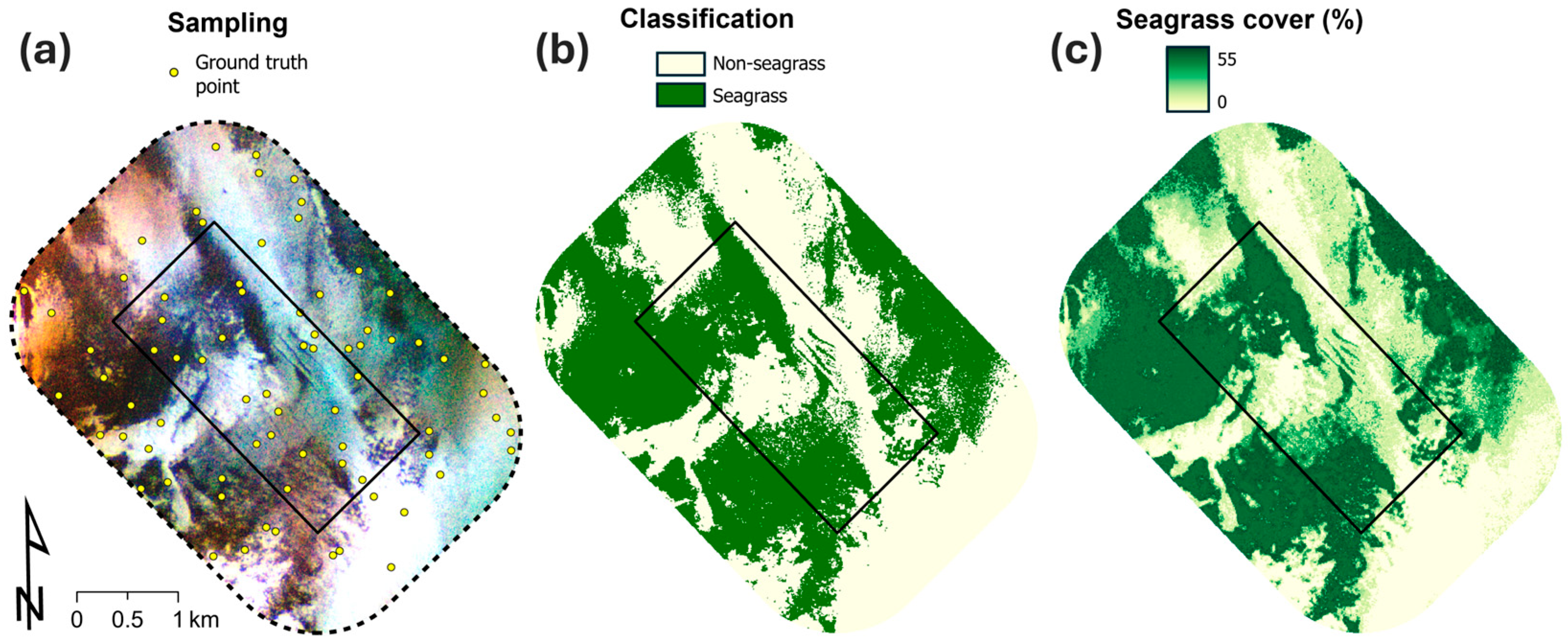 Remotesensing 17 03932 g004