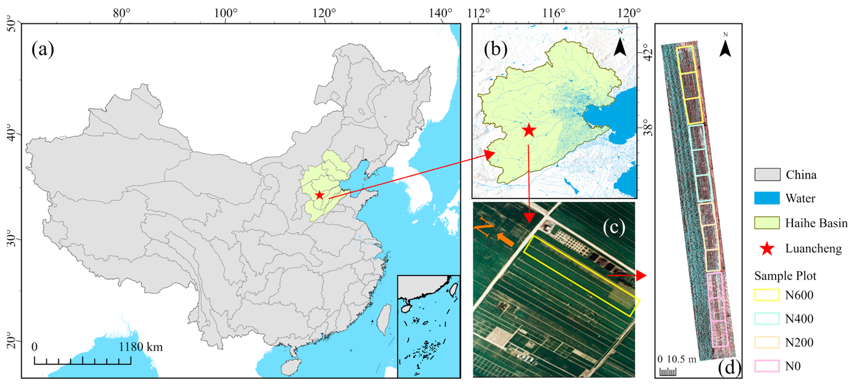 Remotesensing 17 03956 g001