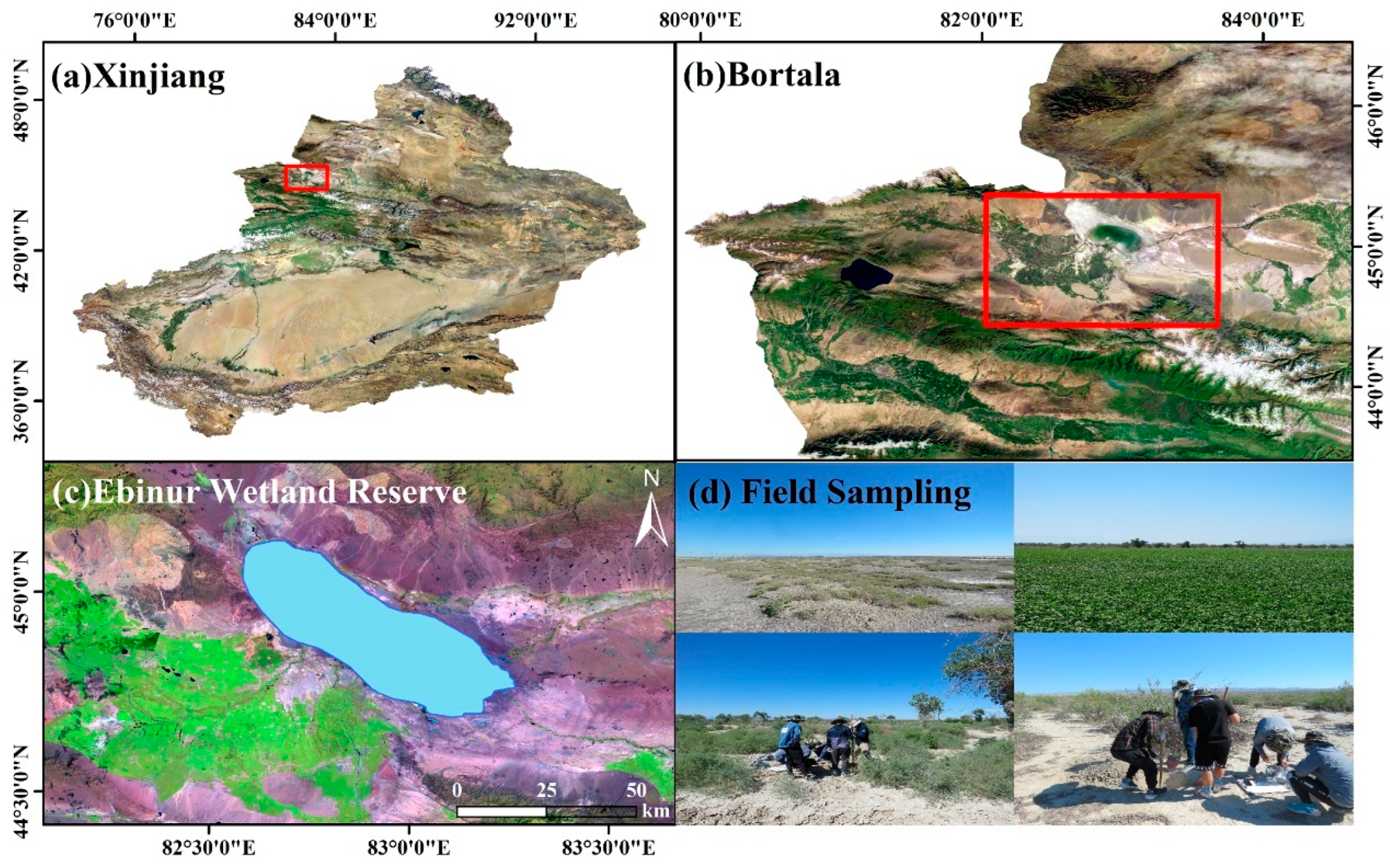 Remotesensing 17 03958 g001