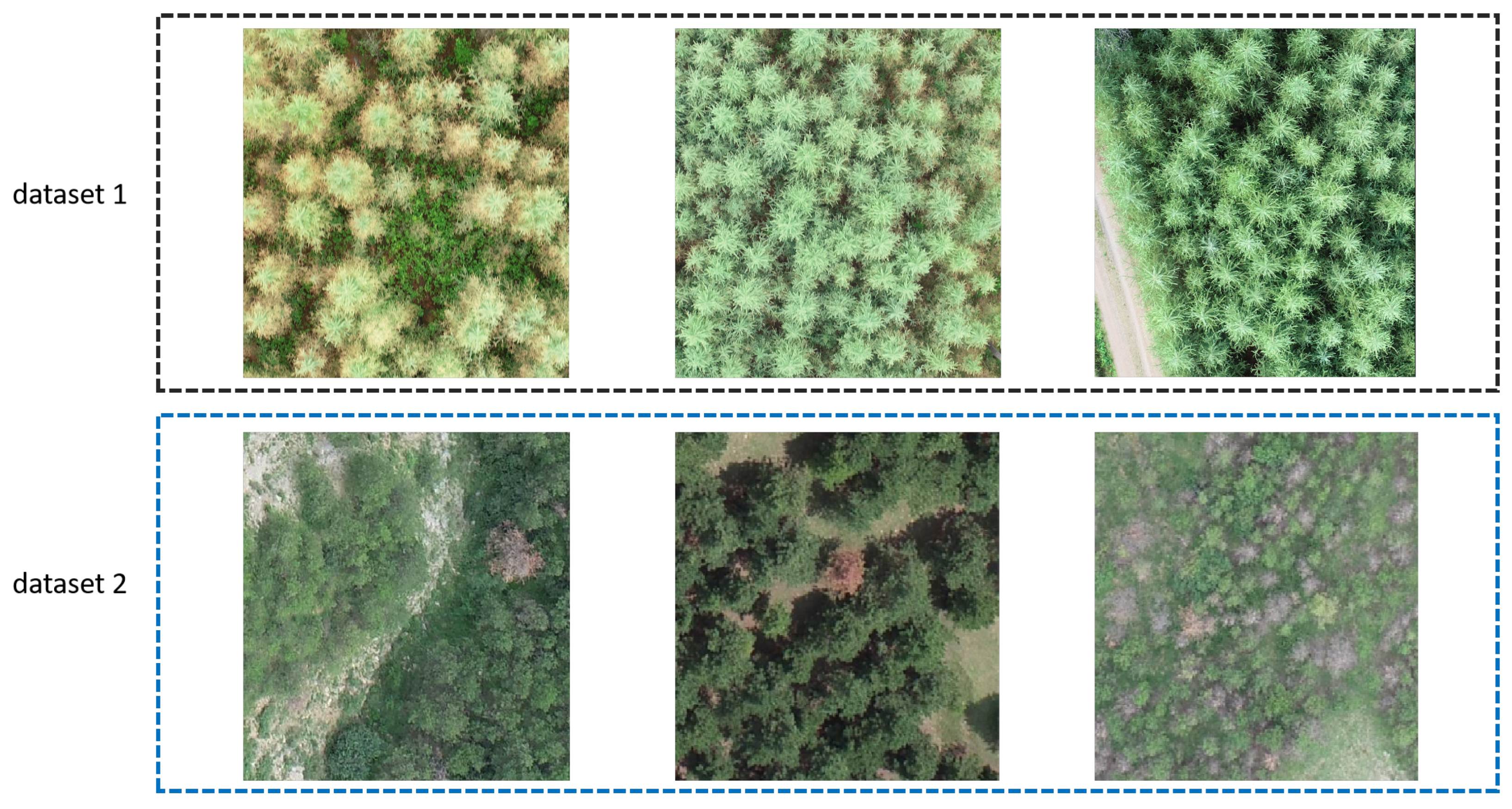 Remotesensing 17 03971 g003