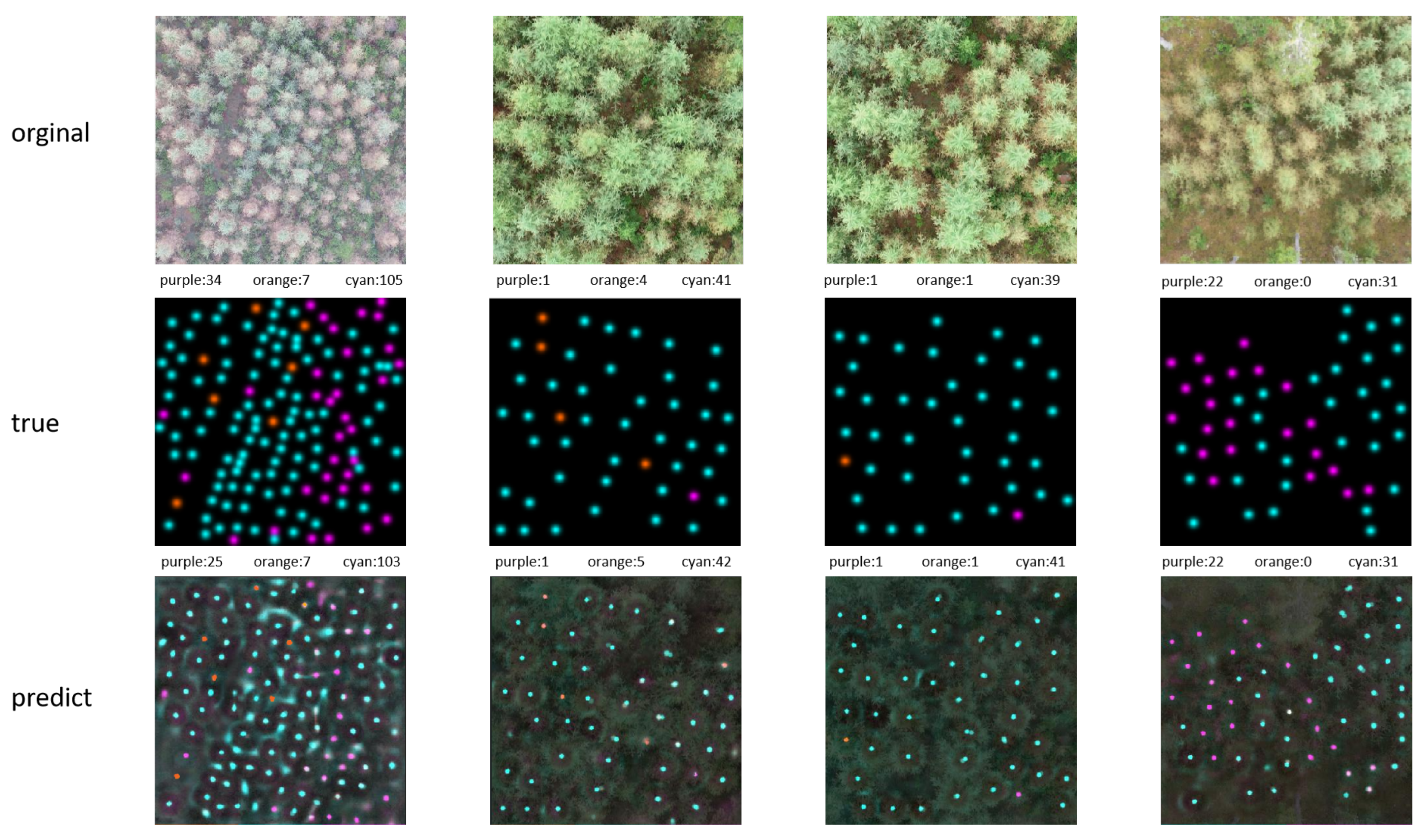 Remotesensing 17 03971 g004