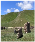 Remotesensing 17 03997 i002