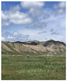 Remotesensing 17 03997 i007