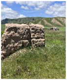 Remotesensing 17 03997 i008