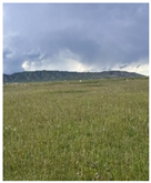 Remotesensing 17 03997 i012