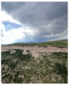 Remotesensing 17 03997 i018