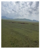 Remotesensing 17 03997 i022