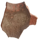 Remotesensing 17 03997 i024