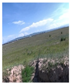 Remotesensing 17 03997 i027