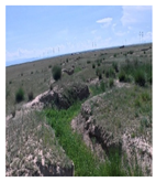 Remotesensing 17 03997 i028