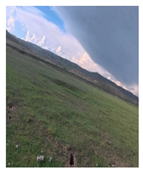 Remotesensing 17 03997 i032