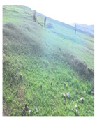 Remotesensing 17 03997 i033