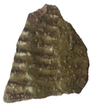 Remotesensing 17 03997 i034