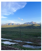 Remotesensing 17 03997 i038