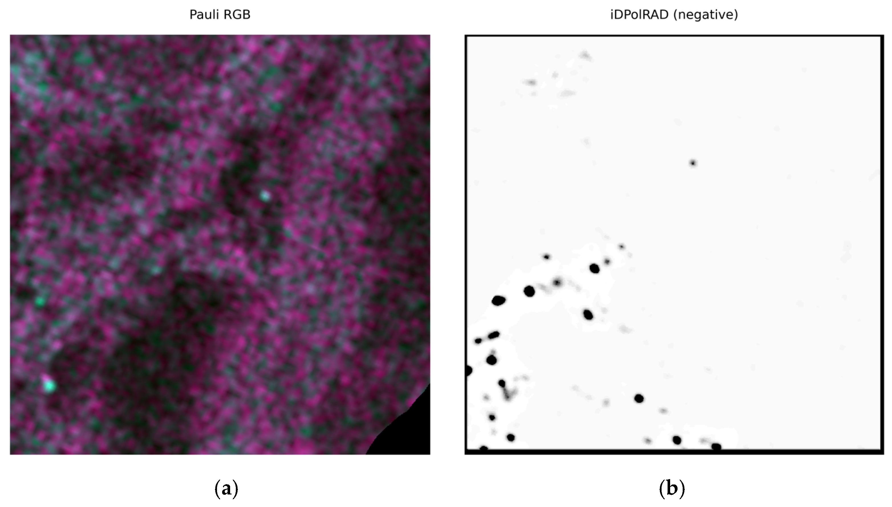 Remotesensing 17 03998 g003