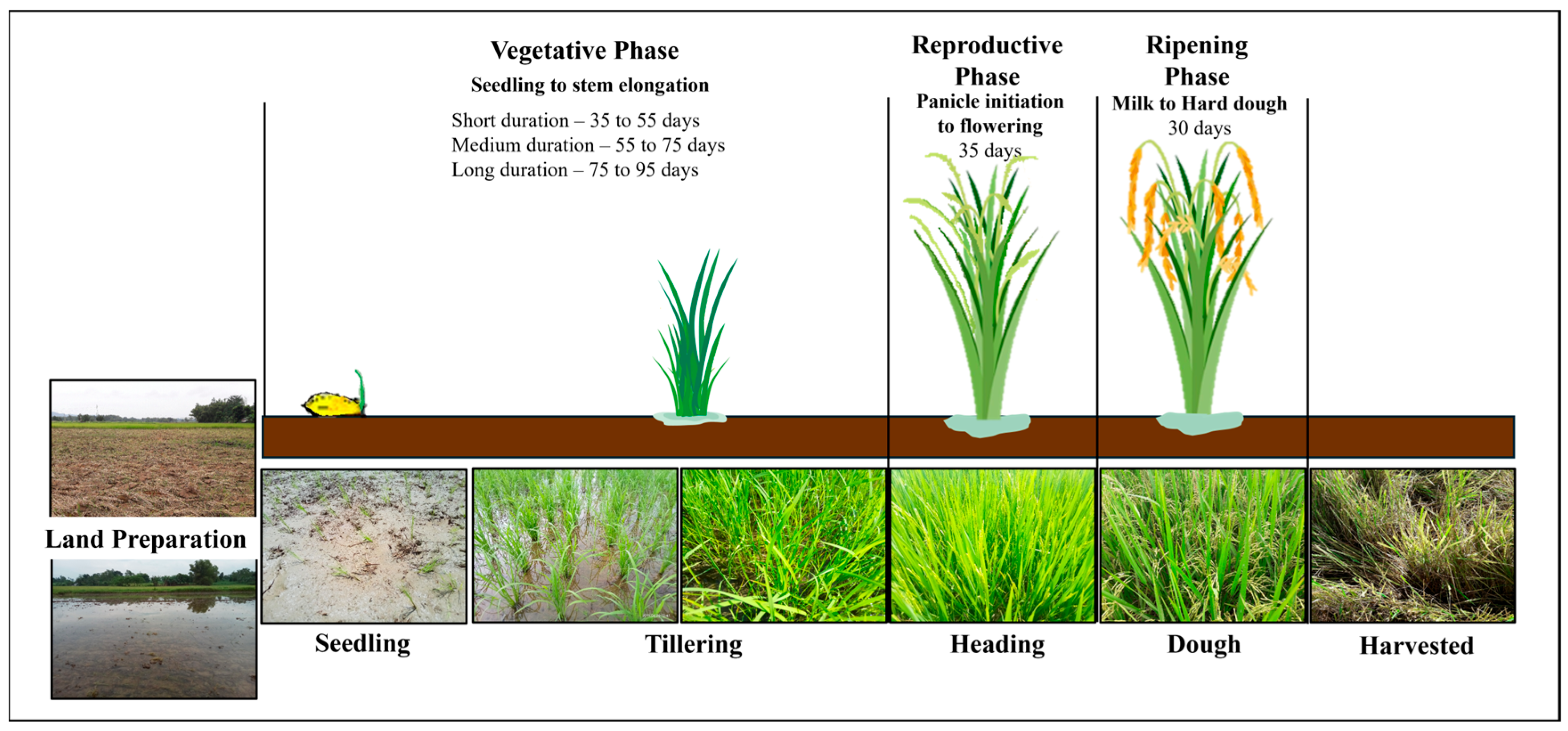 Remotesensing 17 04007 g003