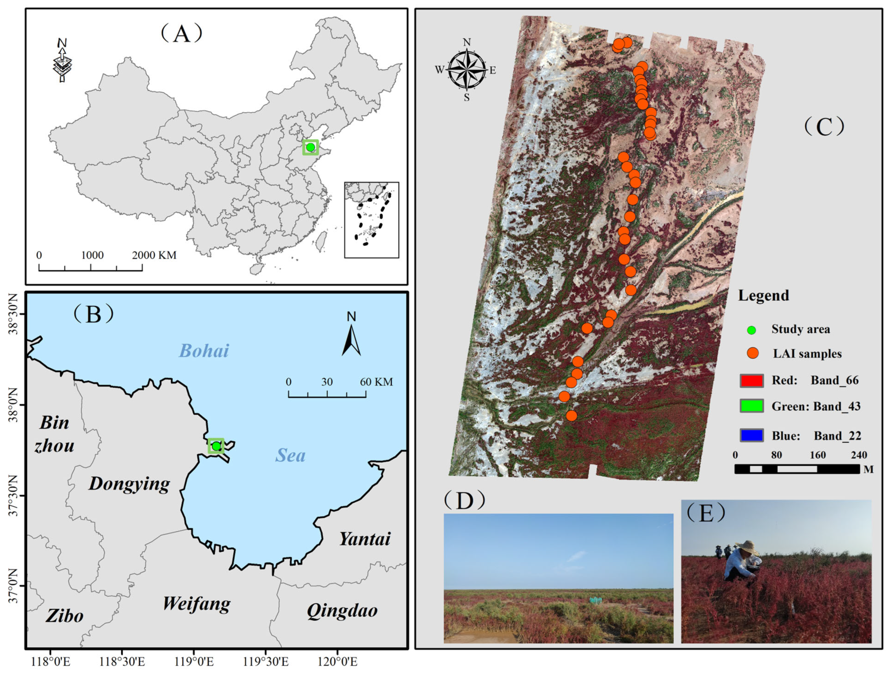 Remotesensing 18 00040 g001