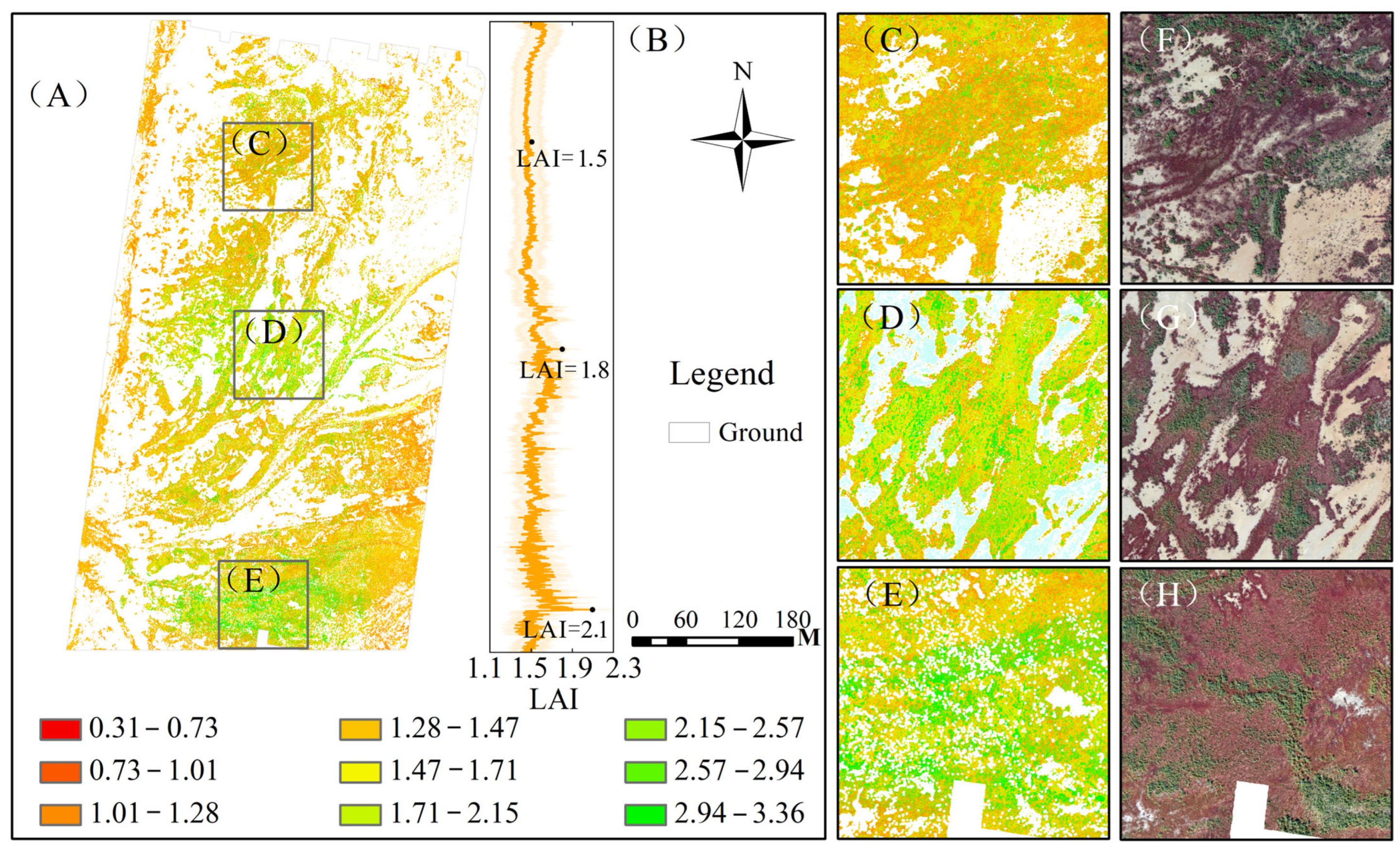 Remotesensing 18 00040 g011