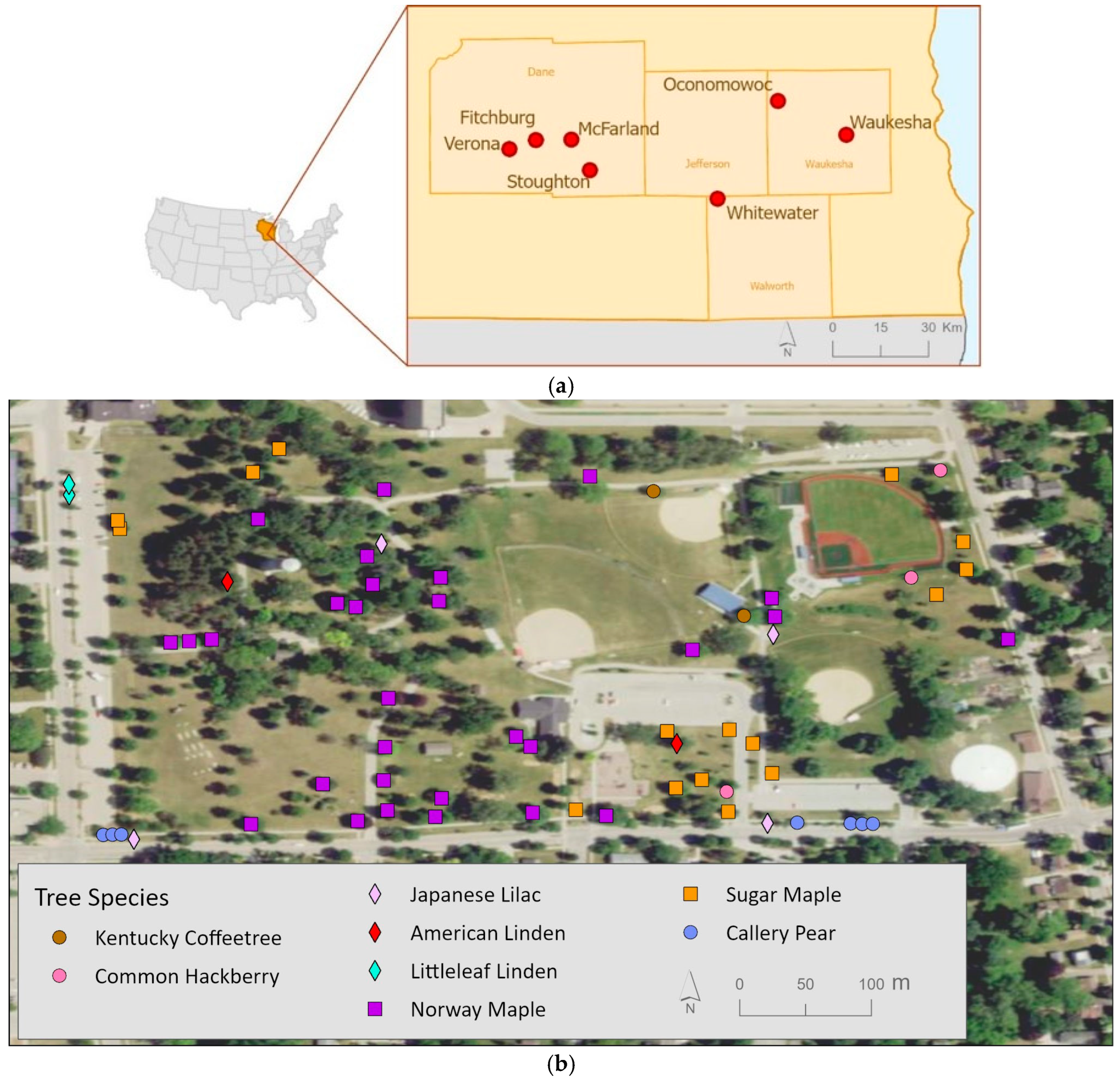 Remotesensing 18 00099 g001