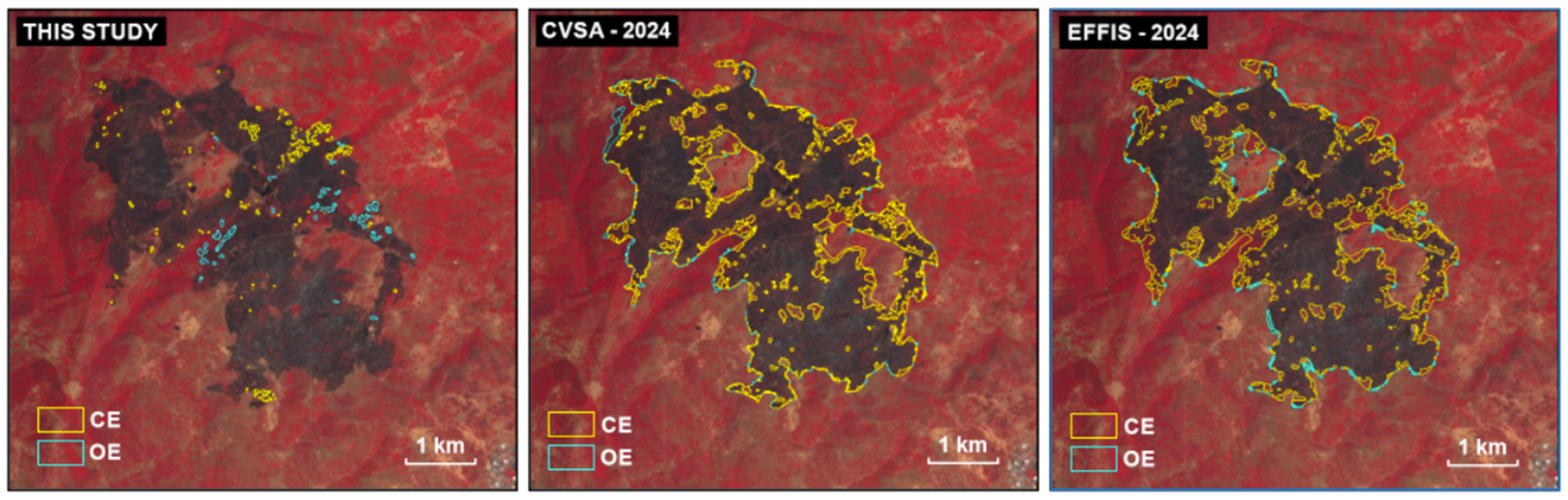Remotesensing 18 00267 g011