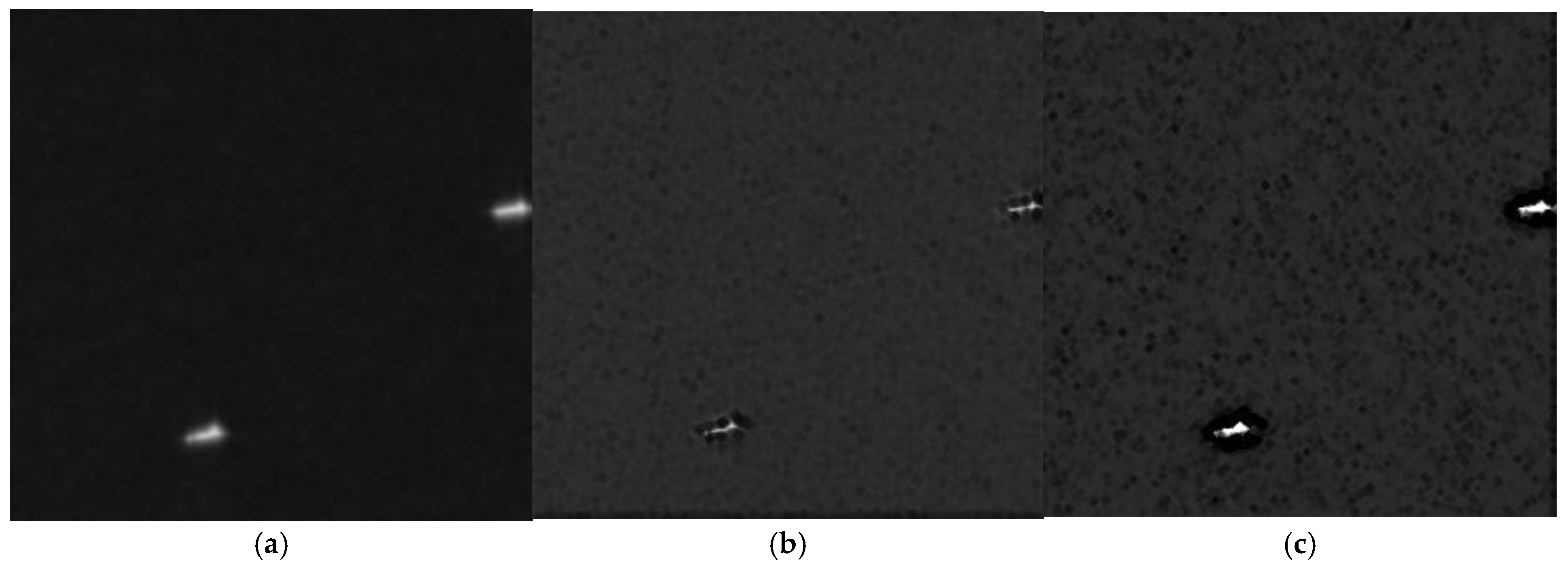 Remotesensing 18 00417 g009